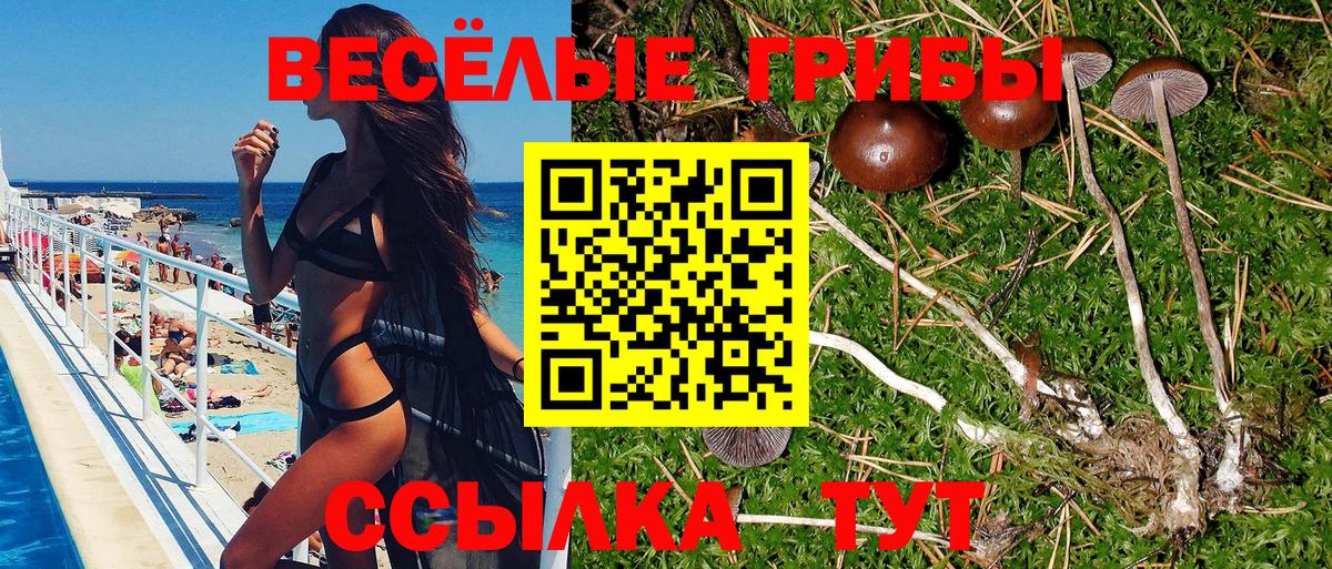 Псилоцибиновые грибы Magic Shrooms Заринск