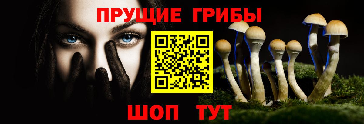 Псилоцибиновые грибы ЛСД  Вход с VPN  Заринск 